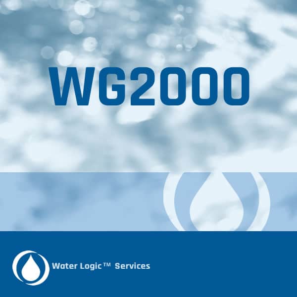 WG2000
